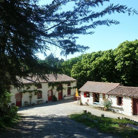 Chambres D'Hotes - B&B Getigne Εξωτερικό φωτογραφία